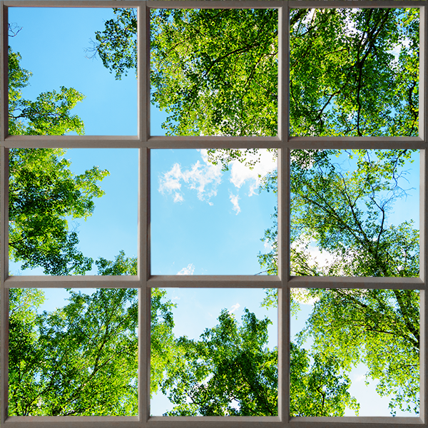 ceiling cutout